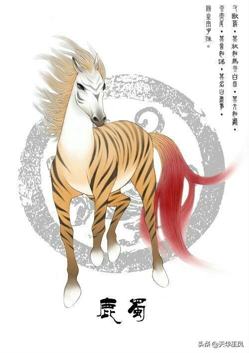 《山海经》75种异兽（《山海经》75种异兽长什么样子）